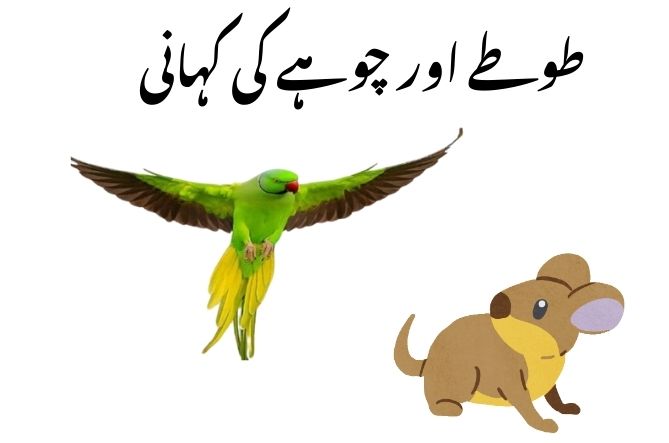 stories urdu language,