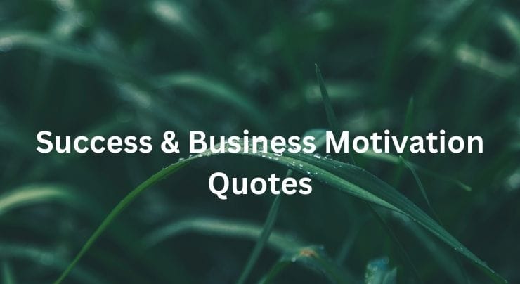 Success & Business Motivation Quotes