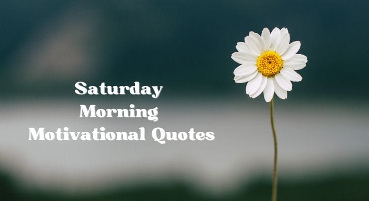 Saturday Motivational Quotes